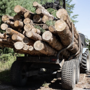 SUR projektas - medienvežio vairuotojas